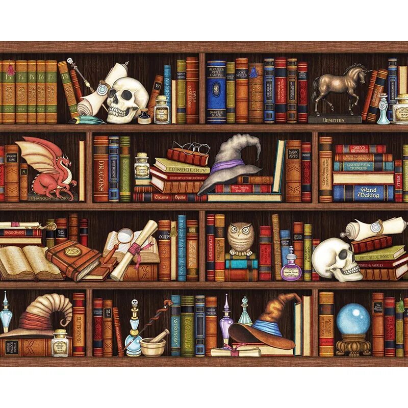 книжная лавка. книжные полки в магазине. описать картину в книжном магазине. порядок слов книжный. библиотека рисунок.