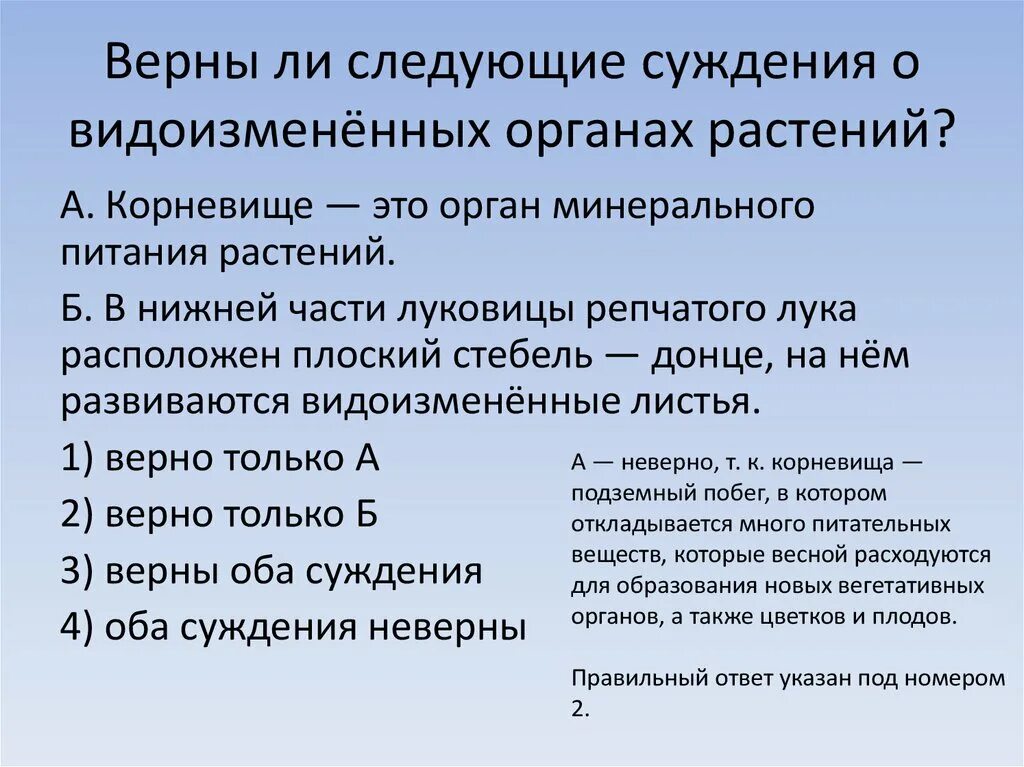 Верны ли следующие суждения корневище это. Верны ли следующие суждения о видоизменённых органах растений. Суждения о видоизменённых органах растений. Верны ли следующие суждения о видоизменённых побегах. Верны ли следующие суждения надзор о правоохранительных органах.