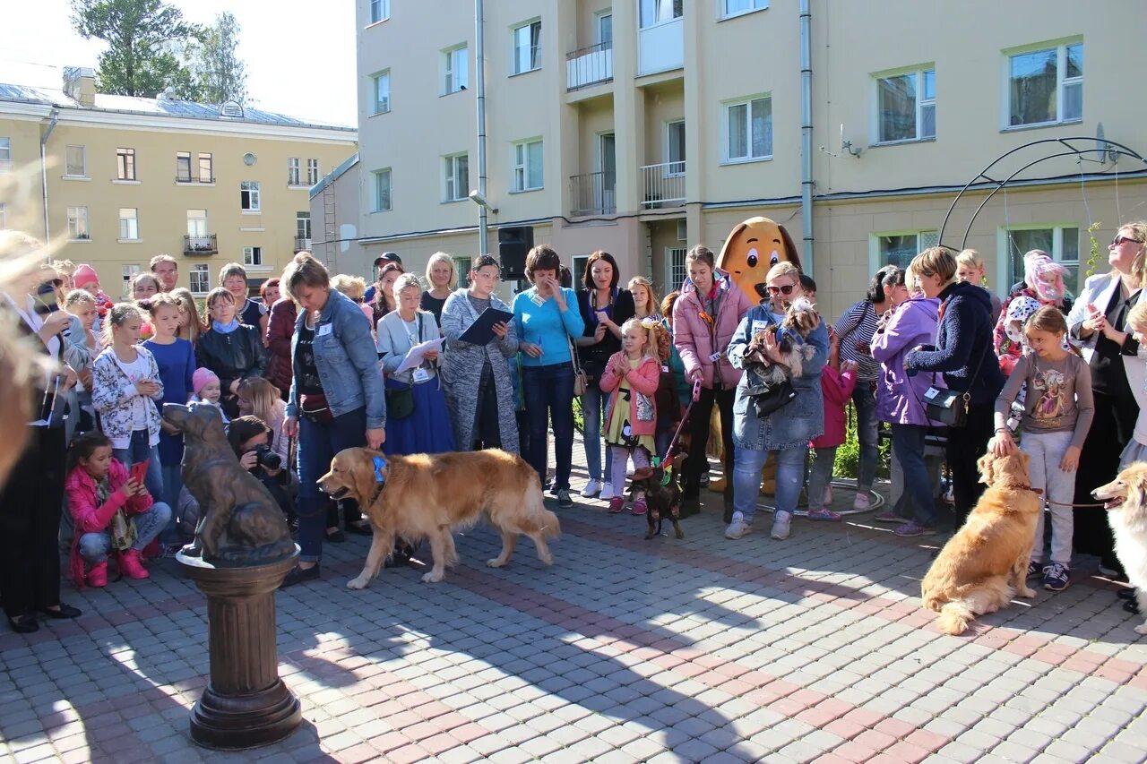 Вечерний металлострой