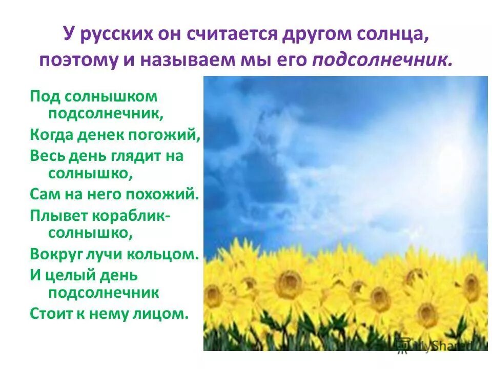 Сообщение о растениях путешественниках
