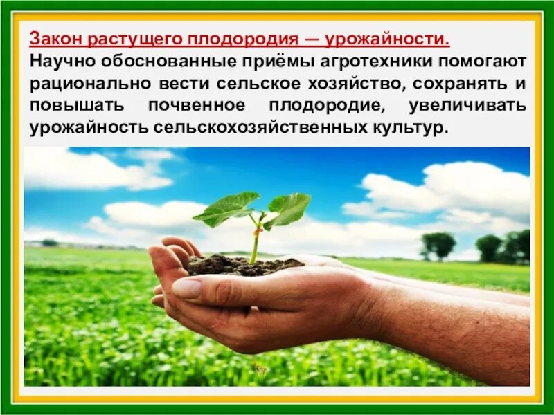 Закон о плодородии. Закон растущего плодородия – урожайности. Пример закона растущего плодородия. Закон растущего плодородия — урожайности. Примеры.