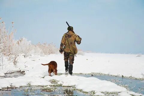 Охотясь зимой