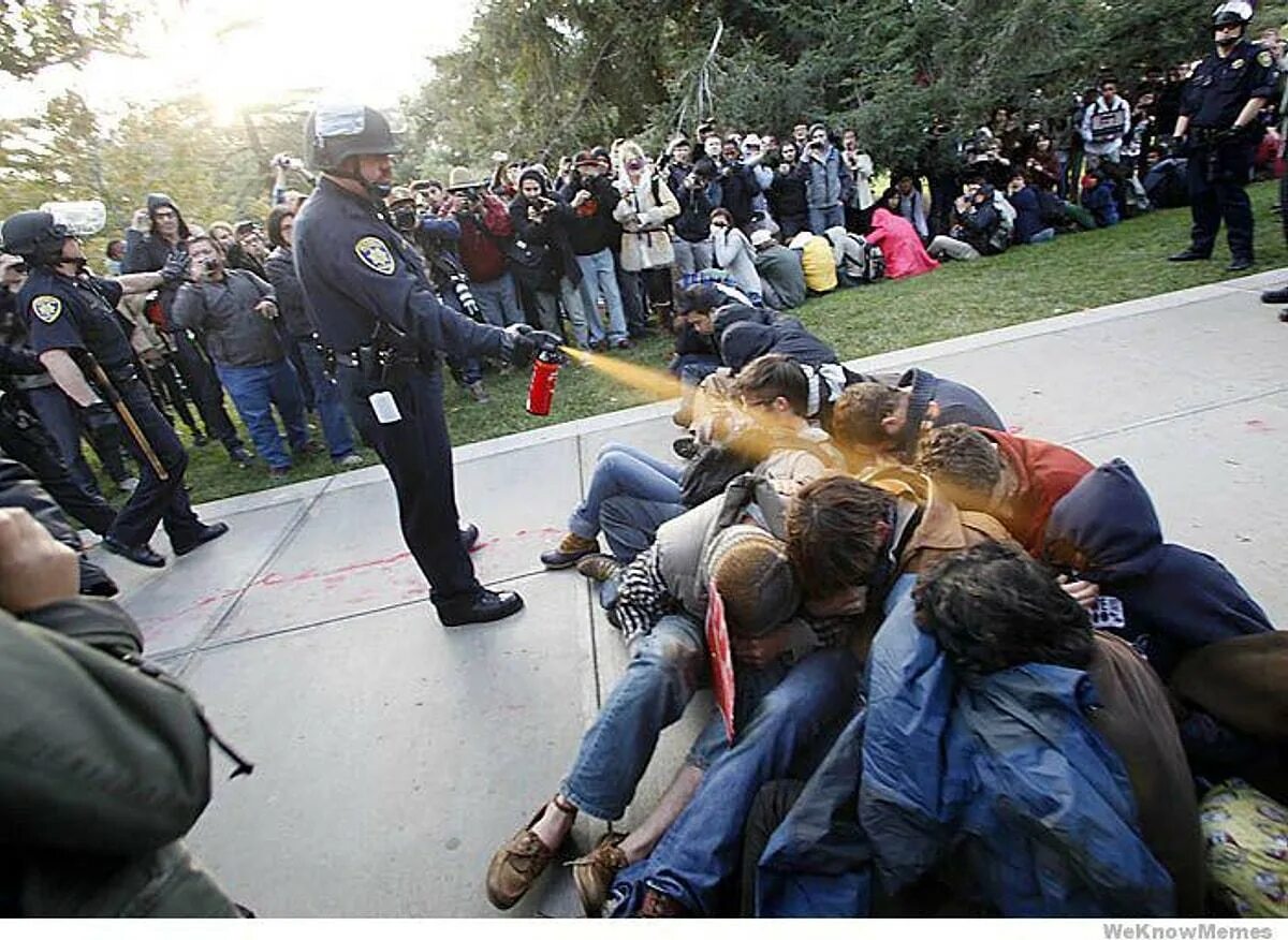 Несем демократию. Полиция США разгоняет демонстрантов. Демократия по американски демотиваторы.