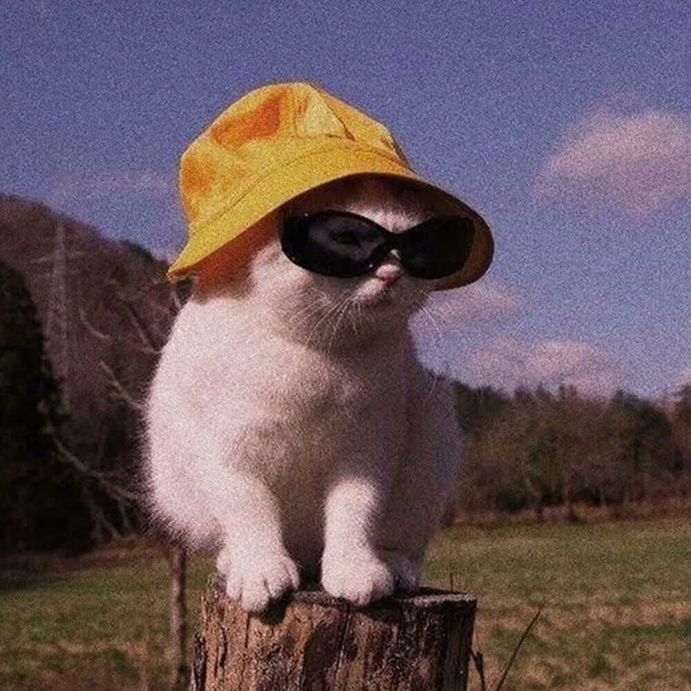 Floatinurboat альбом i want to bring you home слушать онлайн бесплатно на Яндекс