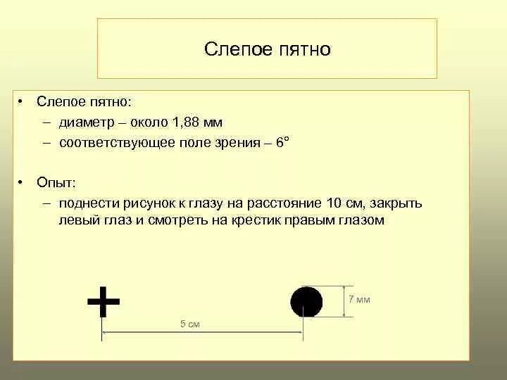 Обнаружение слепого пятна опыт Мариотта. Опыт Мариотта слепое пятно норма. Измерение диаметра слепого пятна.. Диаметр слепого пятна. Слепого пятна сетчатки глаза