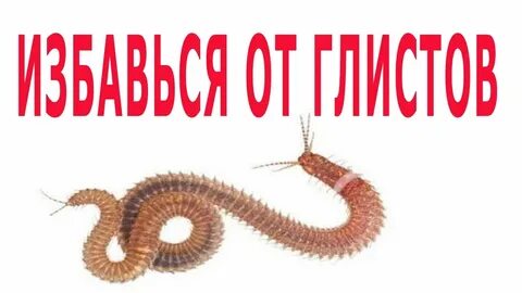 Вылечить паразитов