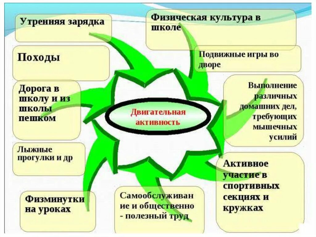 Двигательная активность презентация. Здоровый образ жизни схема. Двигательная деятельность двигательная активность. Здоровый образ жизни двигательная активность.