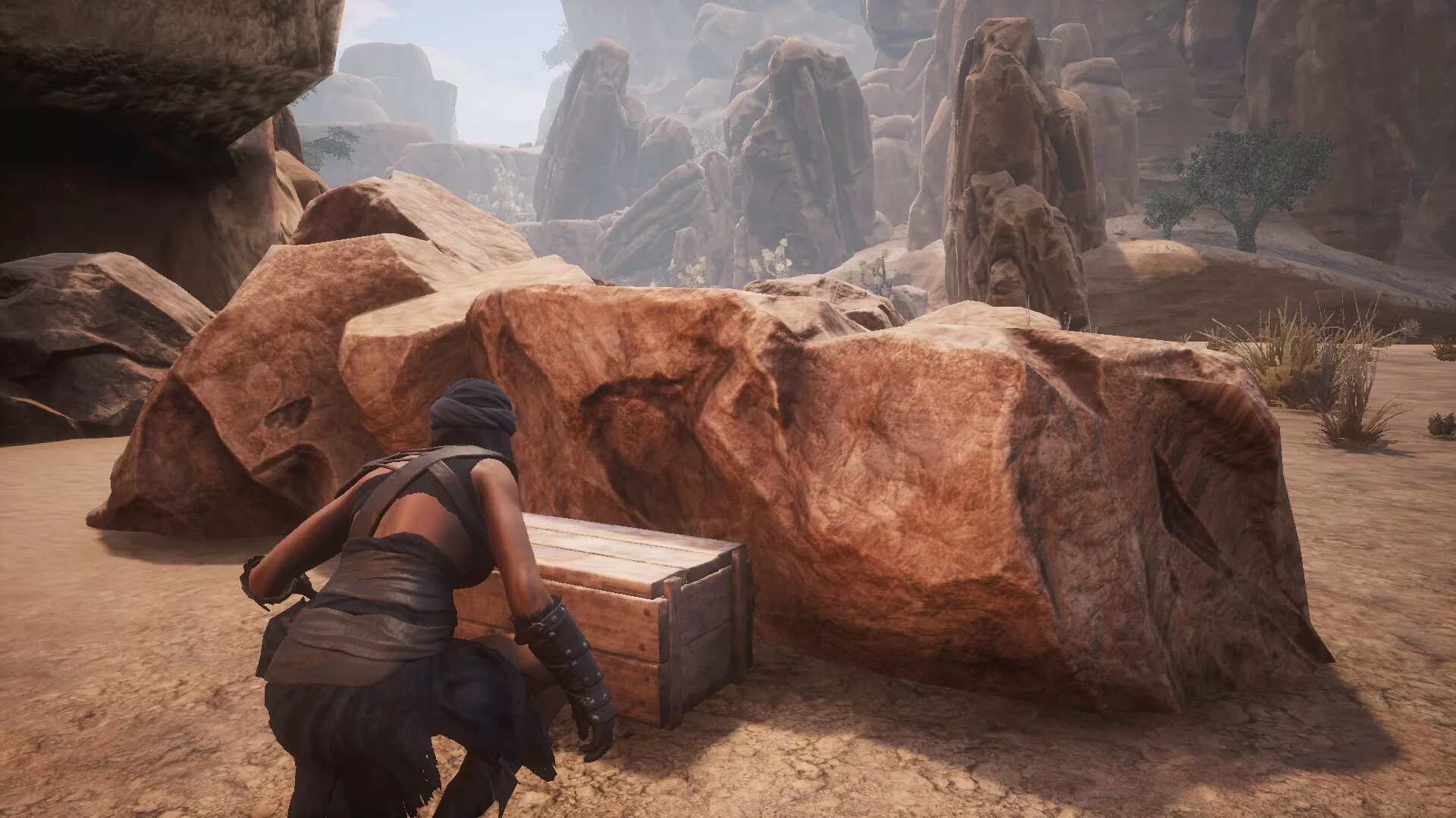 Дубленая кожа conan exiles. Дубленая кожа conan exiles