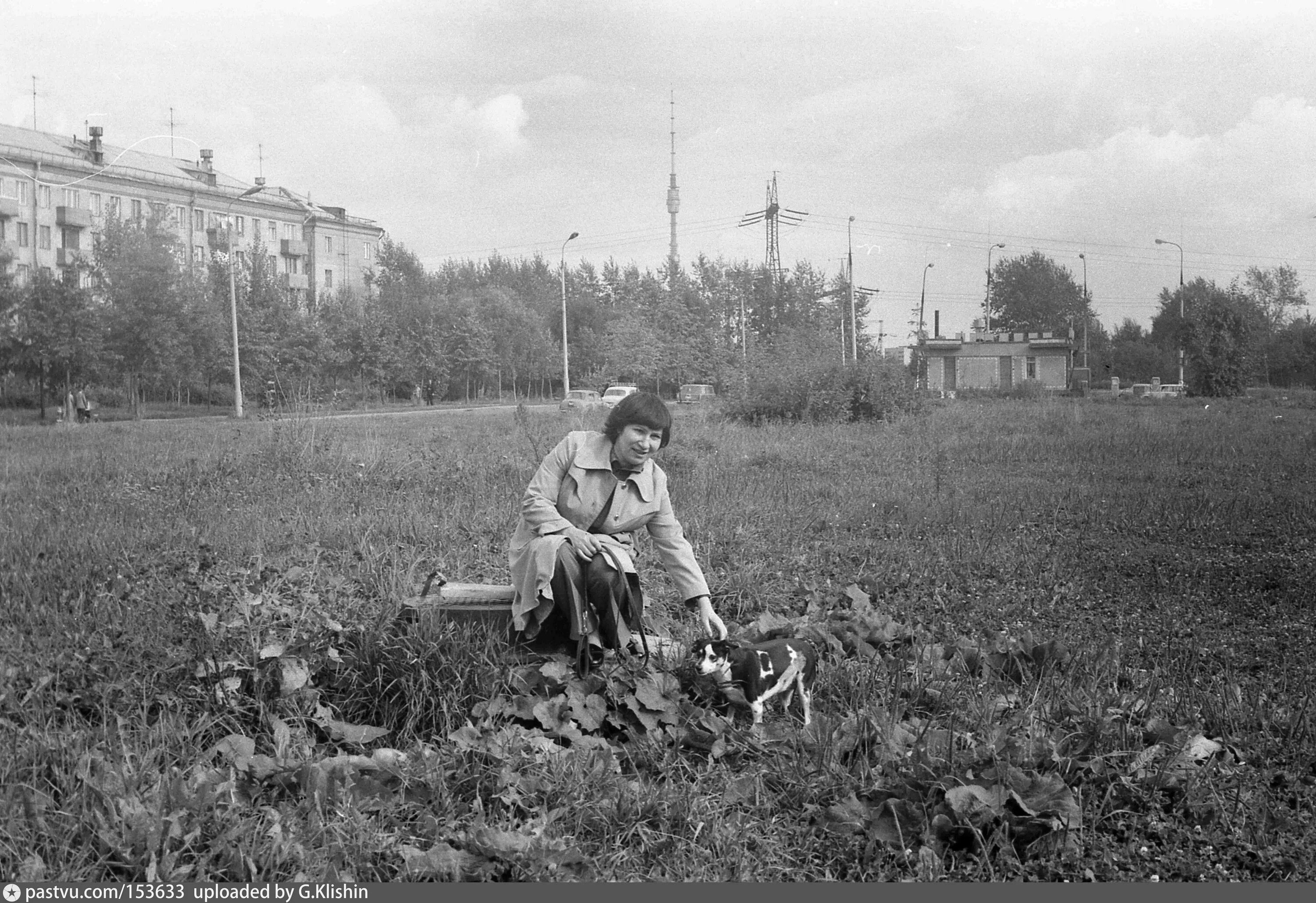 Старое видное дом. Дмитровское шоссе 1900 год. Дмитров на старых фотографиях. Старое Видное. Интересные архивные снимки.