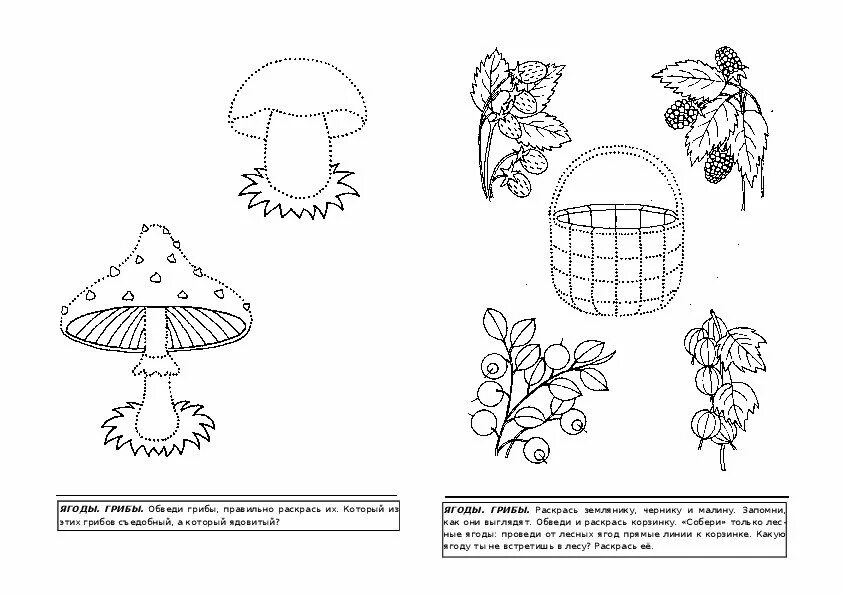 Логопедическое задание для дошкольников на тему грибы и ягоды. Грибы Нищева подготовительная группа. Лексическая тема грибы и ягоды Нищева. Лексические темы для детей 6-7 лет логопедические по Нищевой. Лексические задания старшая группа
