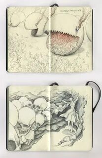 Violet s wildlife diary