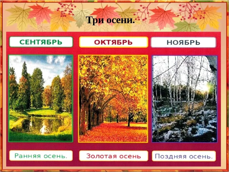 Сентябрь это какие недели