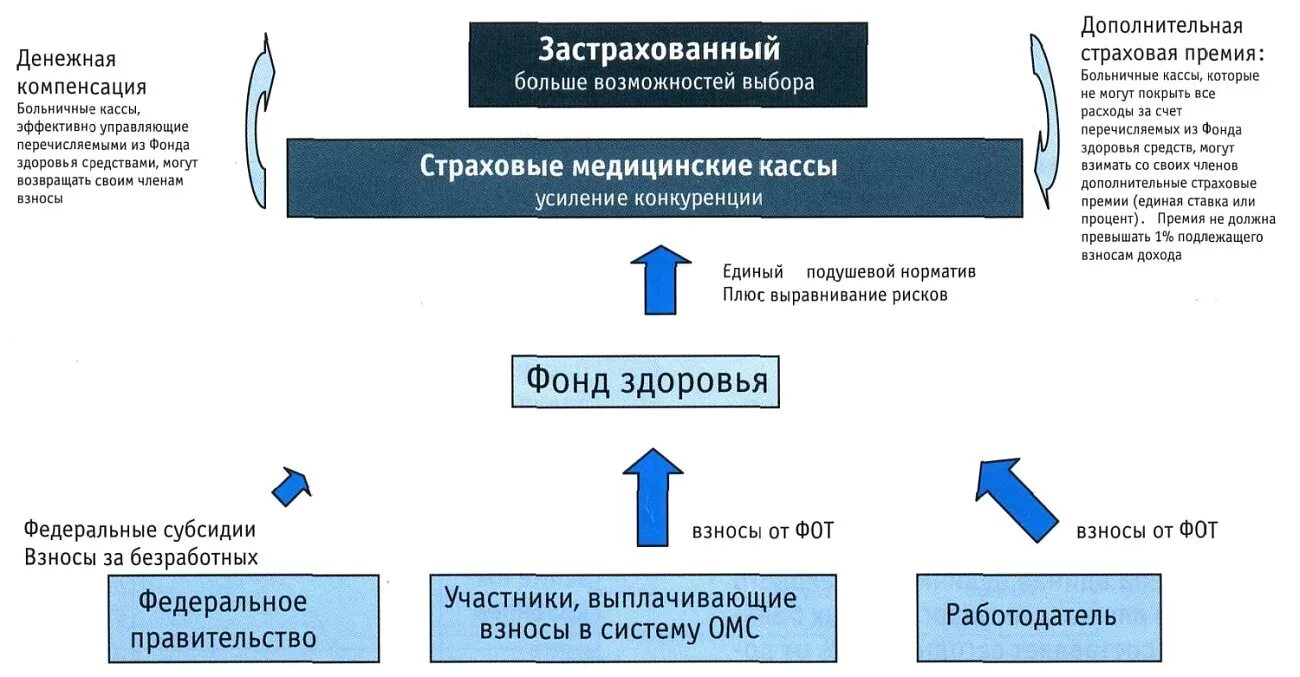 Страхование ЕГЭ Обществознание. Репатриация Больничная касса.