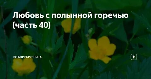 Дзен во бору брусника слишком первая любовь