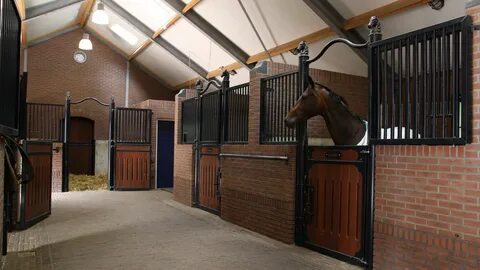Stable definition