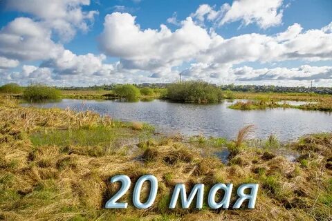 Какой праздник будет 20 мая
