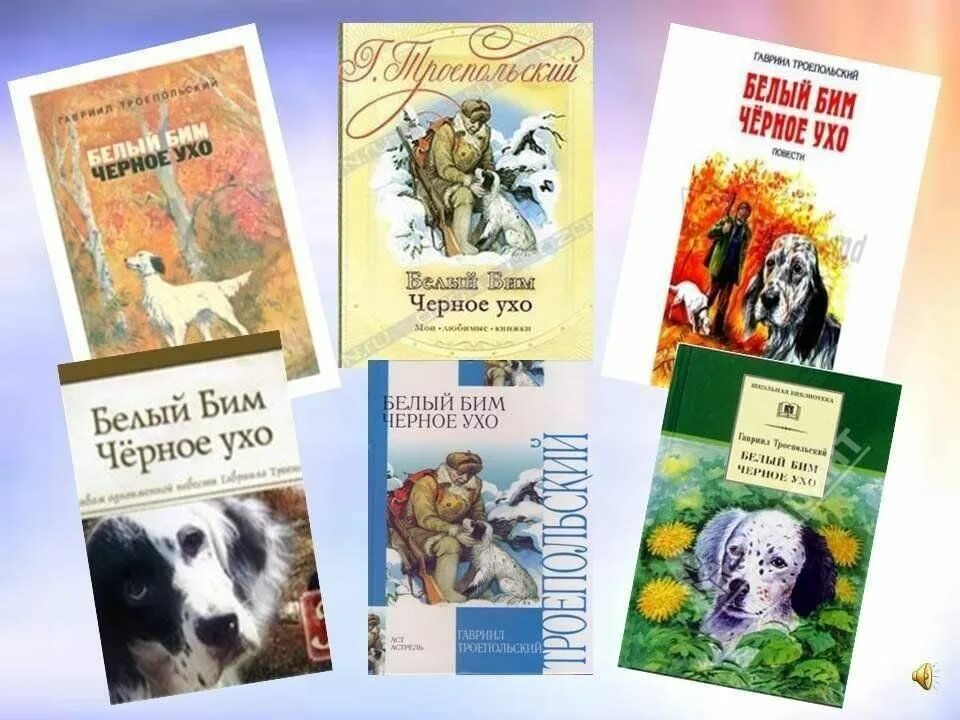 Повесть белый бим черное ухо краткое. Книга Троепольского белый Бим черное ухо. Г Н Троепольский белый Бим черное ухо. Белый Бим черное ухо Автор.