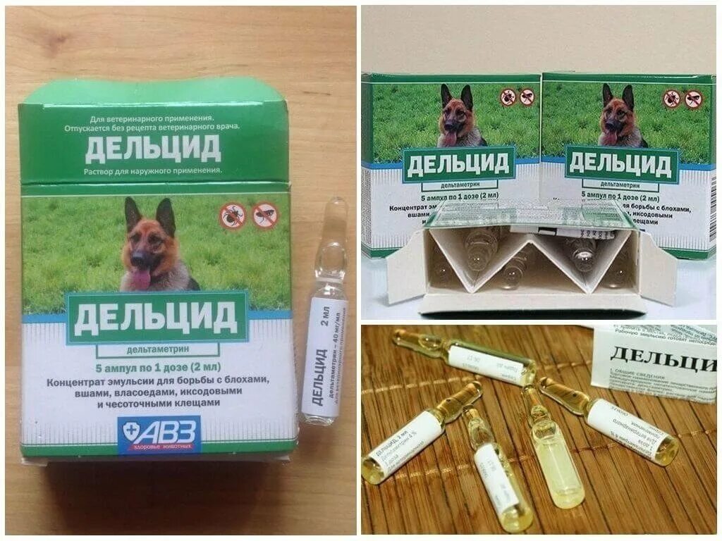 Дельцид для собак. Средство от блох. Дельцид для обработки помещений. Капли от блох для собак дельцид. Дельцид для крс.