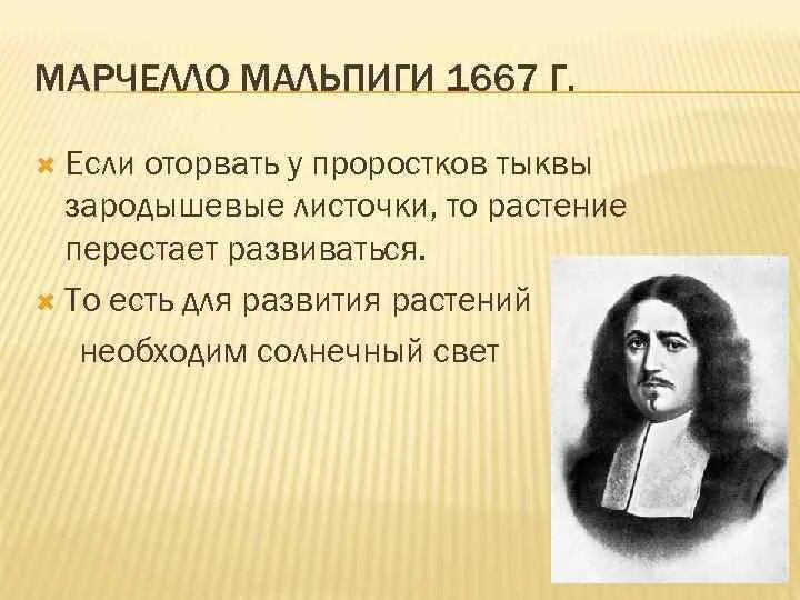 Эксперимент мальпиги. Марчелло мальпиги. опыт мальпиги. марчелло мальпиги фотосинтез.