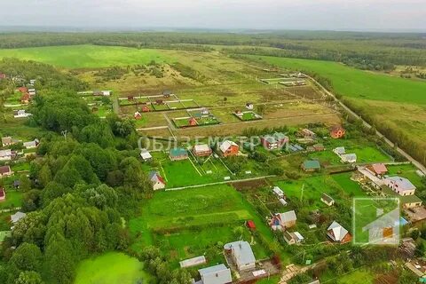 Дачный поселок школа