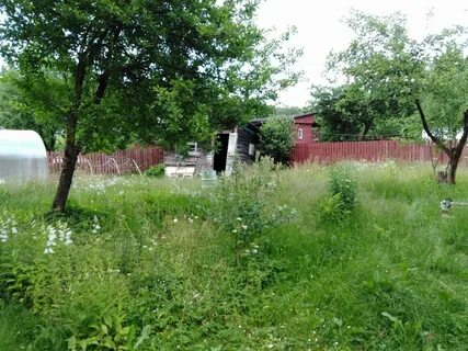 Снт ладога ленинградская область