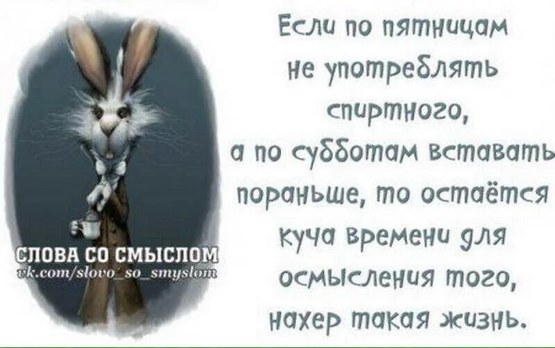 прикольные слова для ватсап. смешные статусы со смыслом. прикольные статусы для ватса. приколы картинки со словами. статусы прикольные со смыслом в картинках.