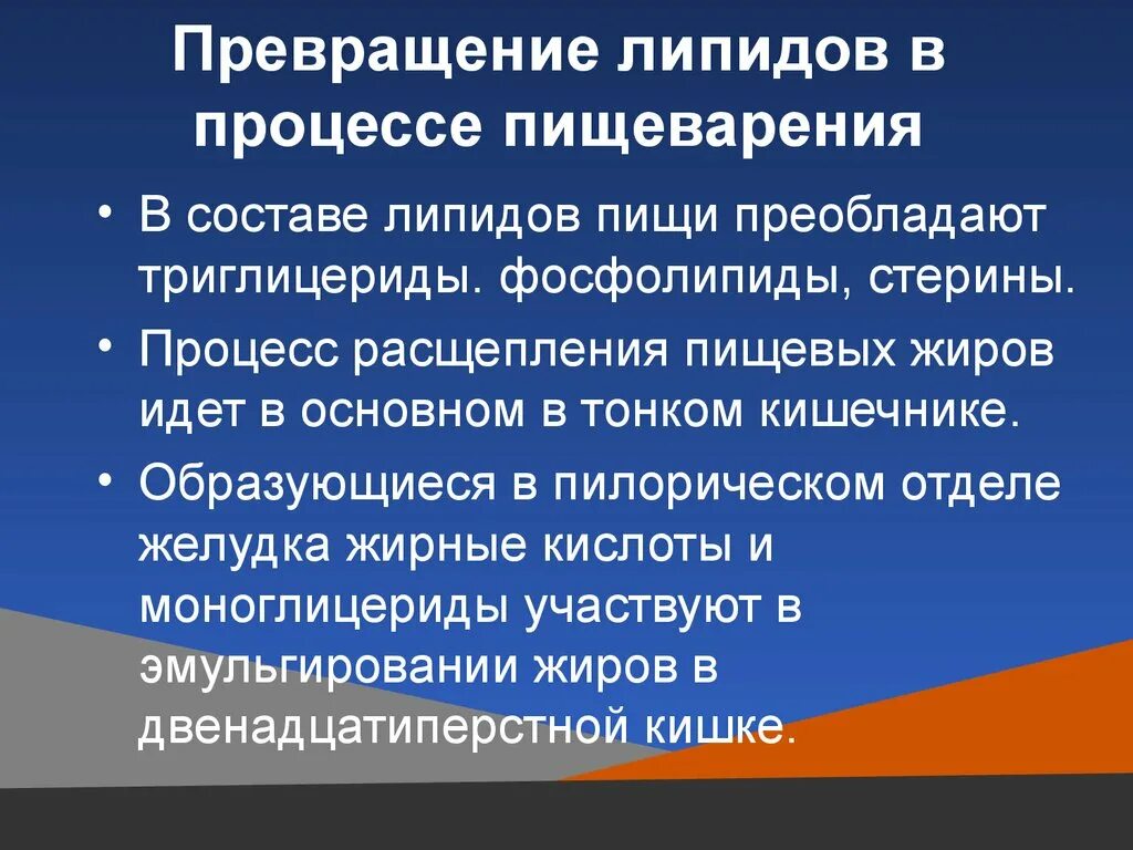 Процесс переваривания и всасывания жиров. Превращение липидов в процессе пищеварения. превращение липидов в жкт. превращение липидов в желудочно-кишечном тракте. превращение липидов в пищеварительном тракте.