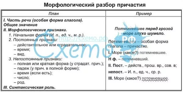 Образец письменного разбора 3 класс