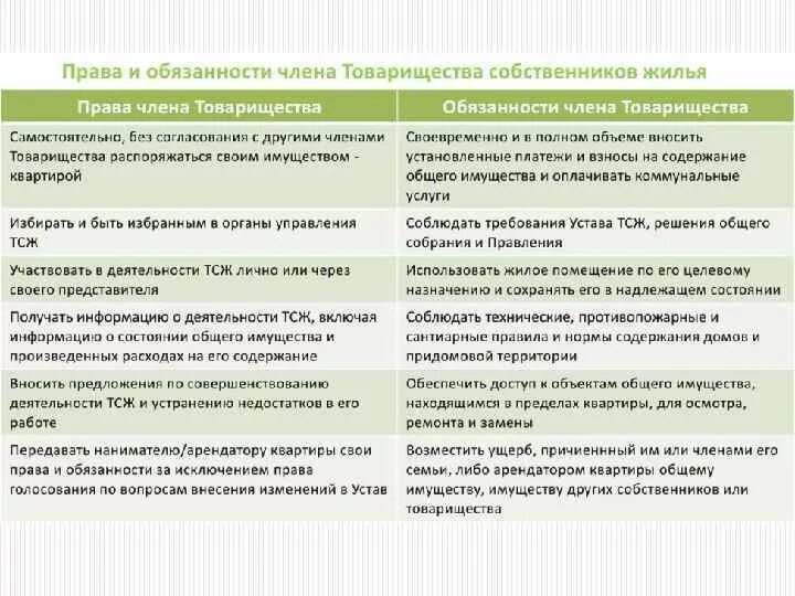 Деятельность товариществ собственников жилья. Обязанности членов ТСЖ.