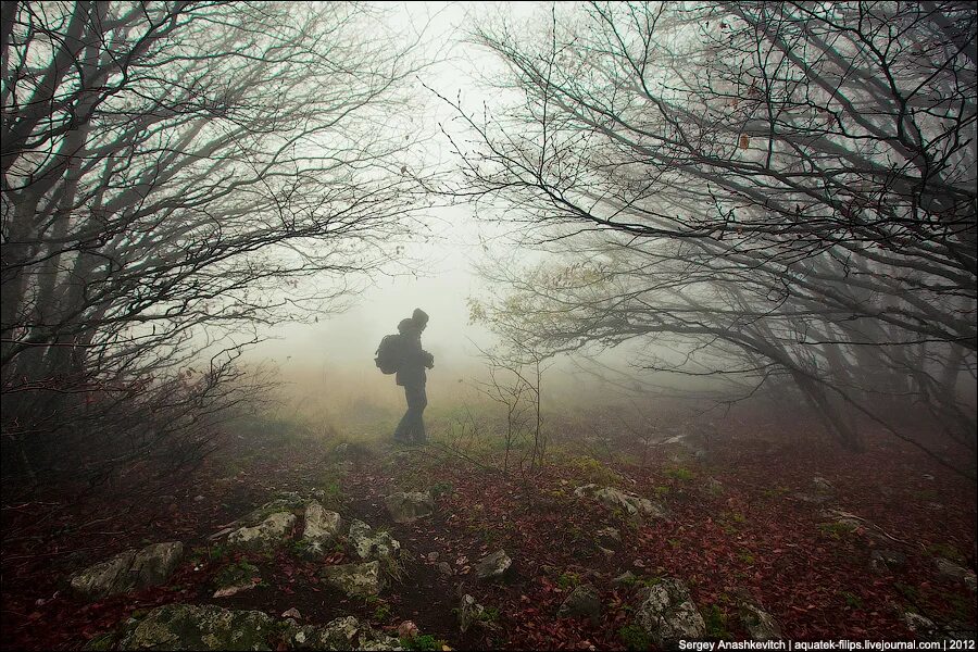 товары сверхъестественное. лес ночью в тумане. 7 мечников наруто. обито учиха против ниндзя тумана. гаара против 7 мечников тумана.