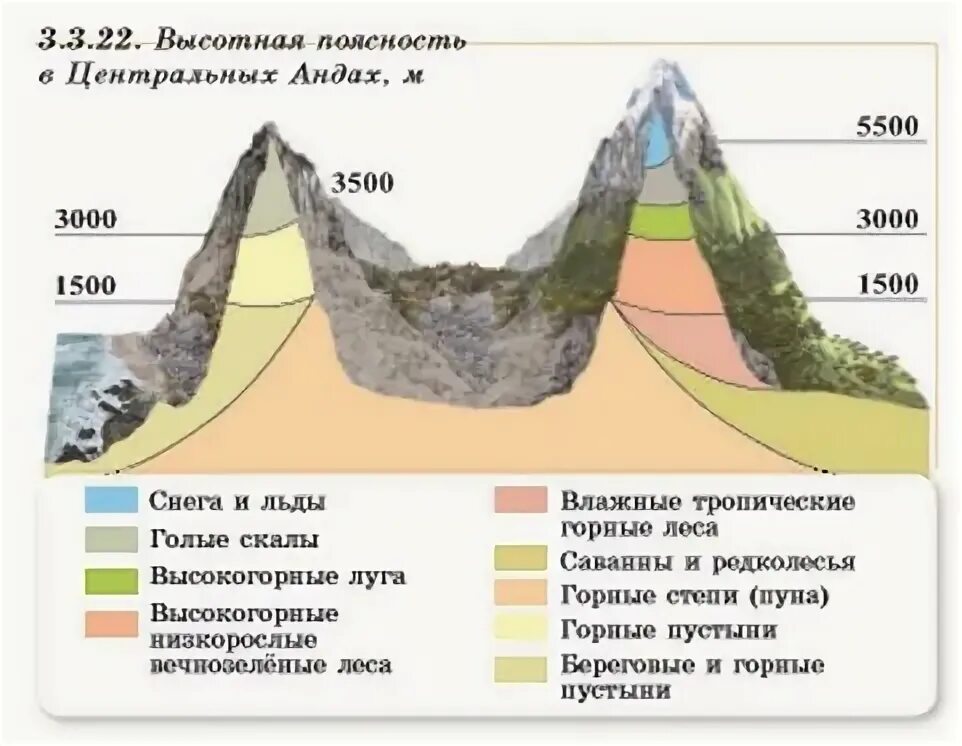 Рисунок высотная поясность в андах