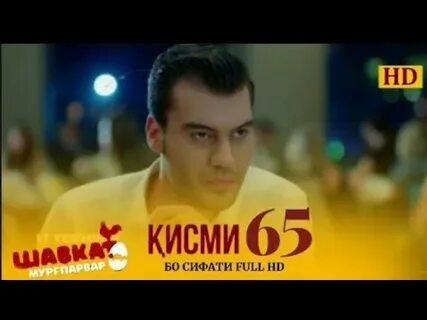 Шавкат мургпарвар кисми
