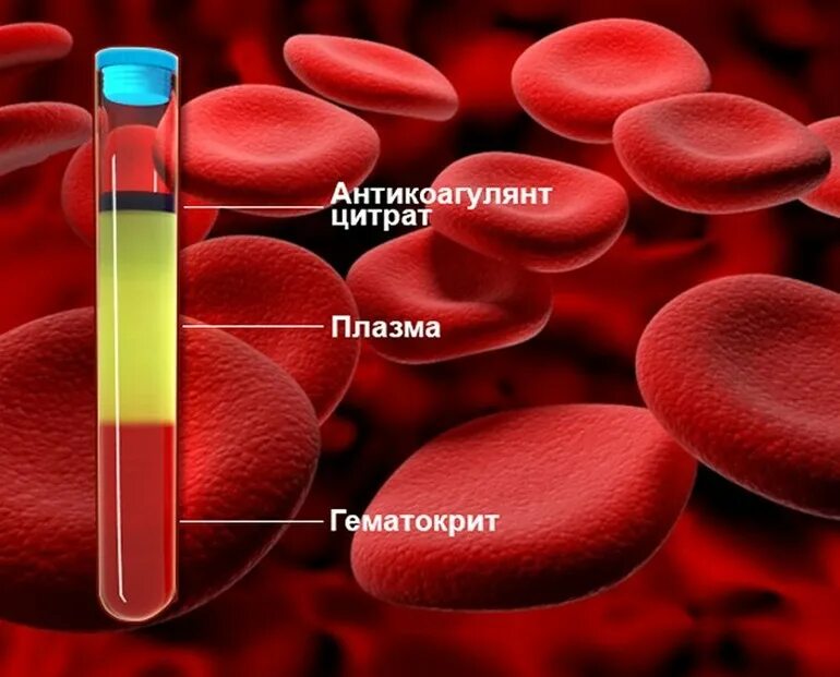 Снижение уровня гематокрита. Гематокрит. гематокрит картинки. исследование гематокрита.