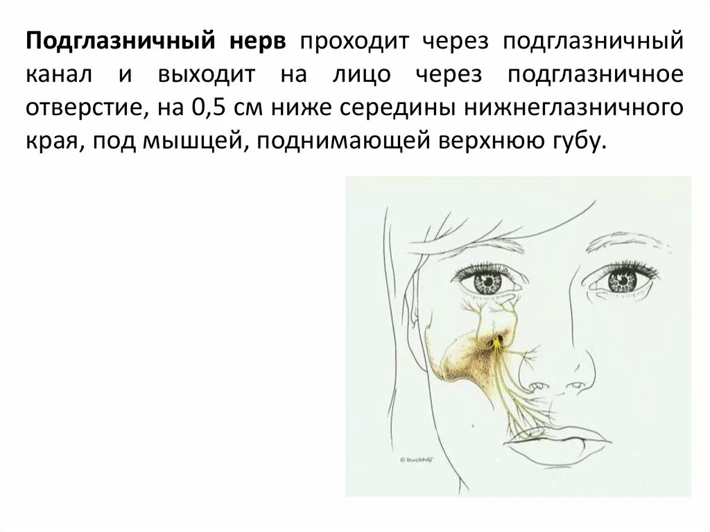 Подглазничная анестезия