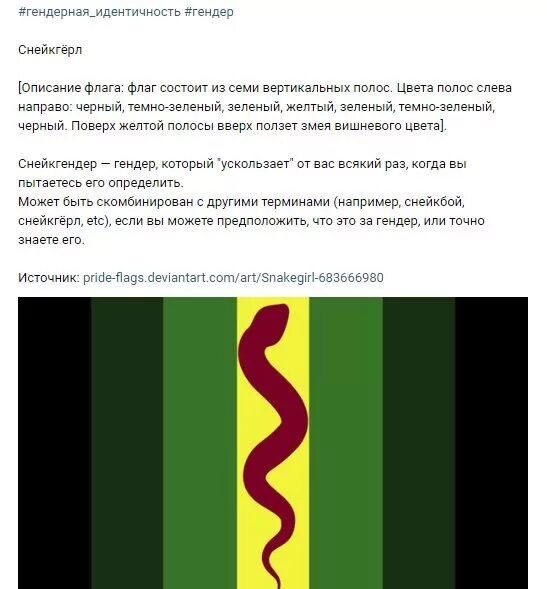 Гендеры и их значения. Флаги гендерной идентичности. флаг мужского гендера. флаги гендеров и их значения. гендерный флаг зелено черный.