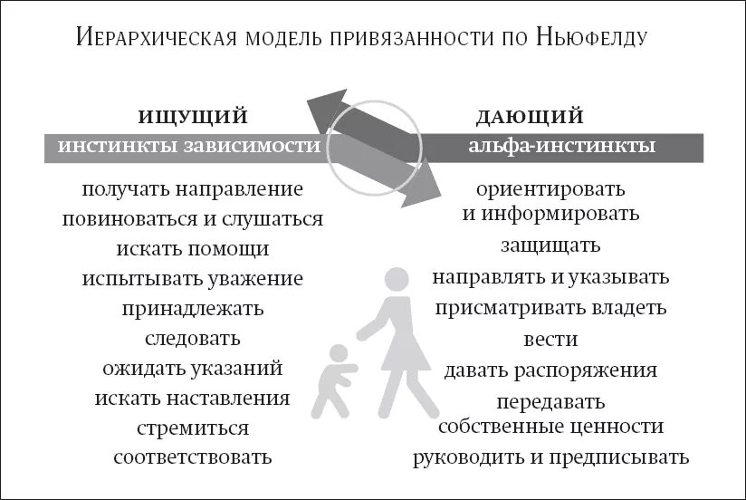 Привязанность у взрослых. Уровни привязанности Ньюфельд. Шесть уровней привязанности. Стадии формирования привязанности. Формирование привязанности схема.