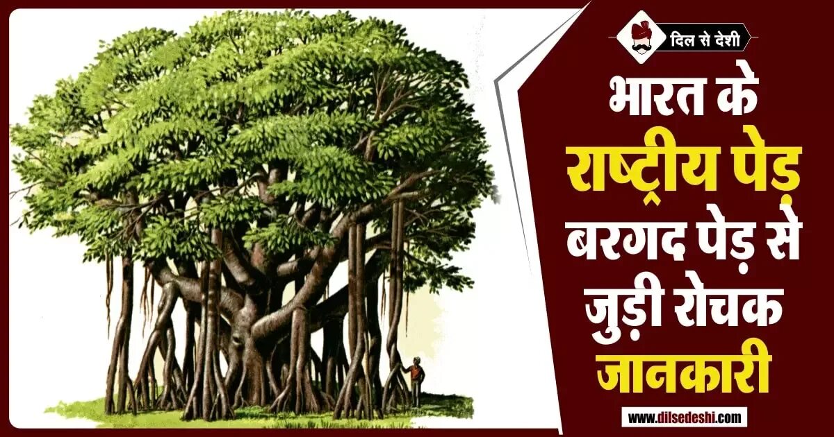 Tree mean