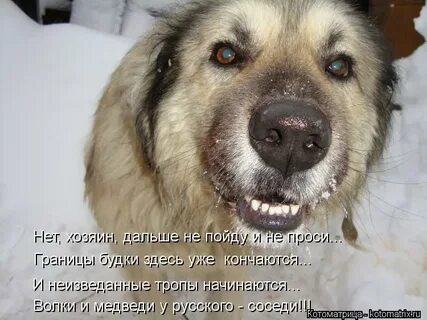 Твои веки