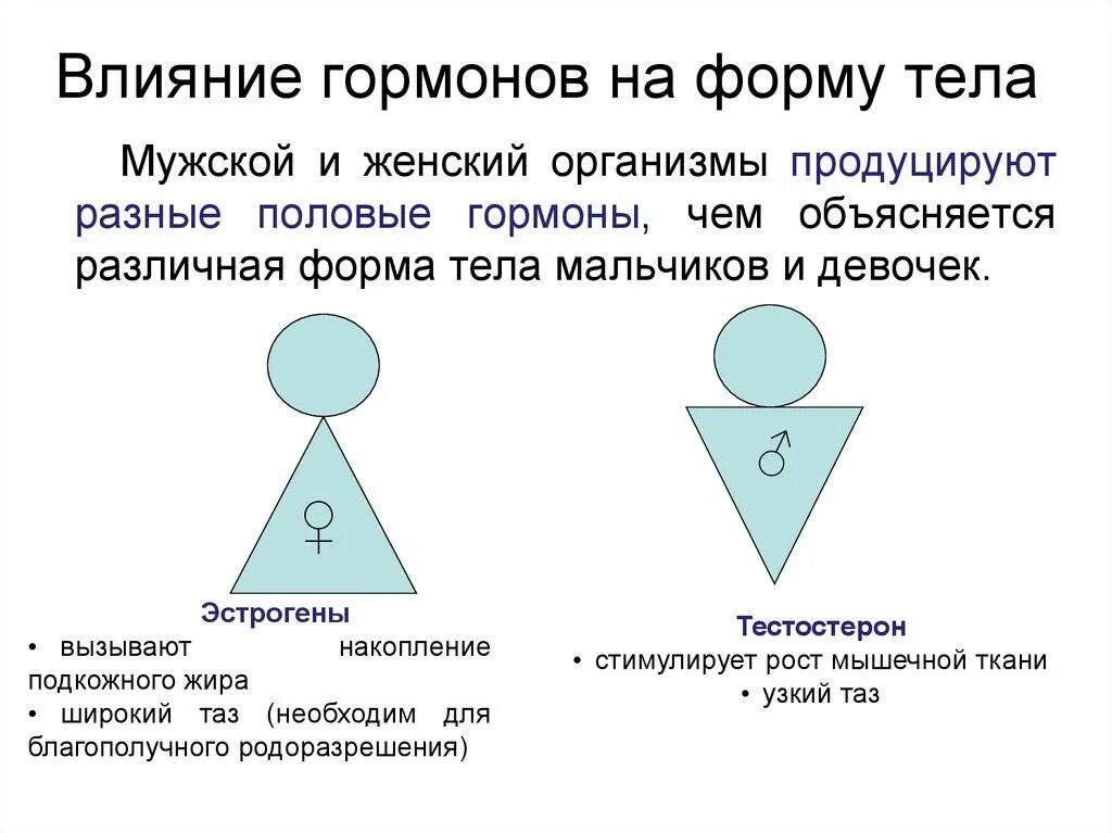 Гормоны в организме мужчины. Влияние женских гормонов. Женские гормоны влияющие на женские. Влияние половых гормонов. Мужские и женские гормоны.