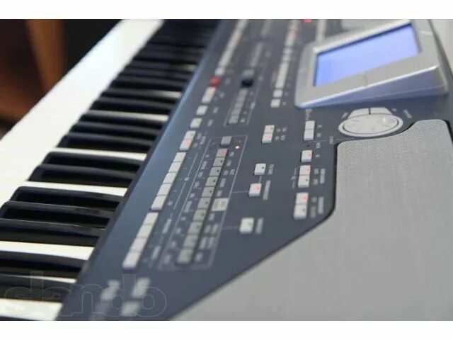 Korg pa 800. Синтезатор корг па 800. Korg pa700. Korg pa 80. Метка зверя корг