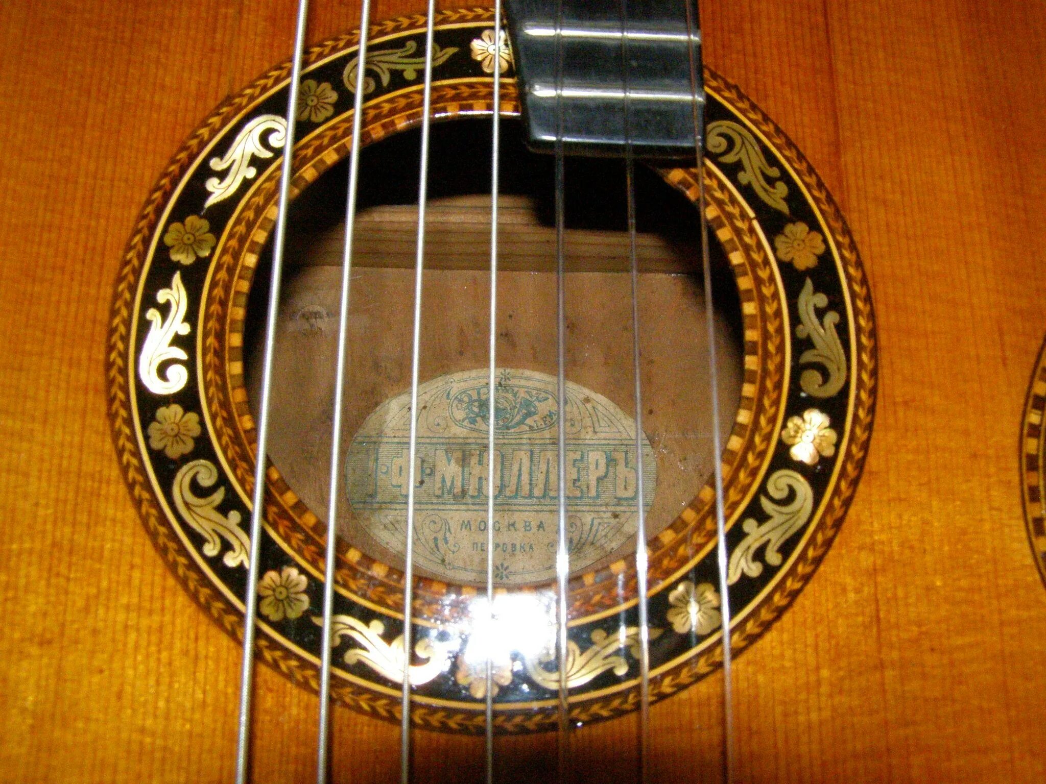 гриф семиструнной электрогитары. струны для семиструнной гитары. различные формы семиструнных гитар. строй семиструнной акустической гитары. акустическая гитара, doff.