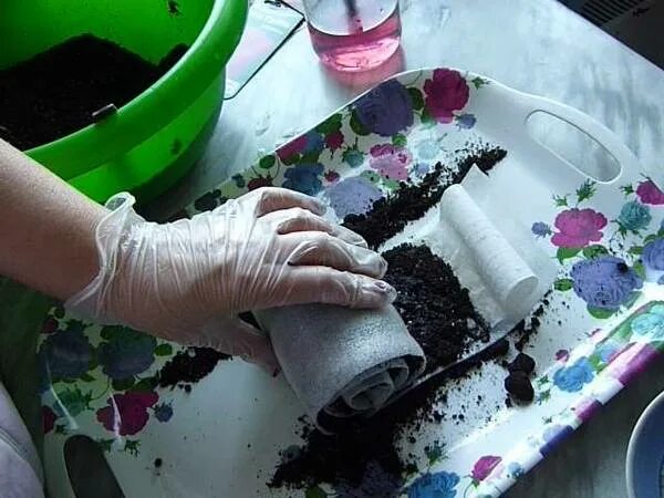 Как сажать в улитку семена. Улитка для рассады. рассада в улитках без пикировки. посадка рассады в улитку. посадка семян в улитку.