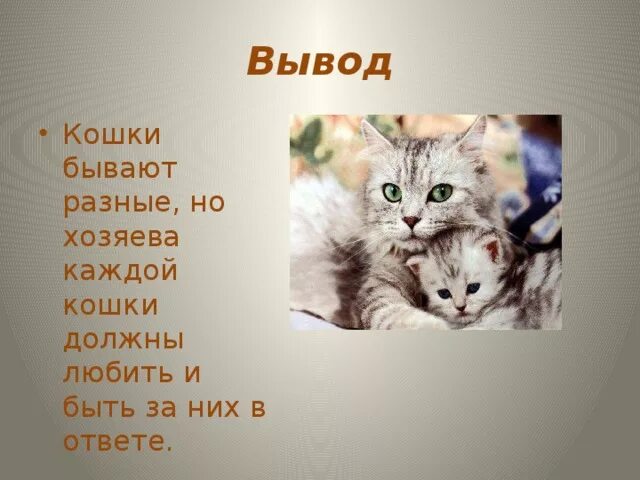 Кошка окружающий мир 2 класс. Презентация про кошек. Рассказ про кошку. Проект домашние кошки. Проект на тему кошки.