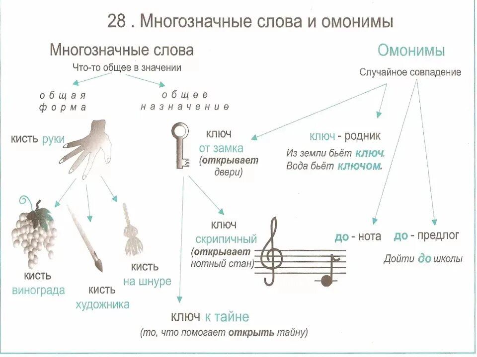 Чем отличаются многозначные слова. Многозначные слова и омонимы разница. Как отличить омонимы от многозначных слов. Различие между омонимами и многозначными словами. Омонимы и многозначные слова примеры.