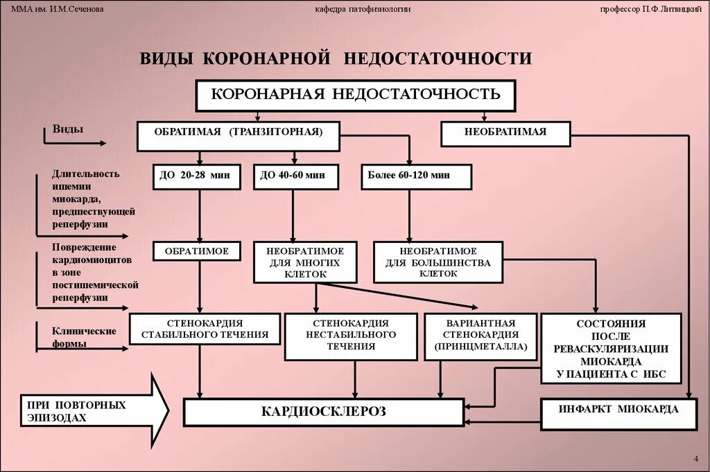 Острая сердечная коронарная недостаточность. Патогенез острой сердечной недостаточности патофизиология. Механизм коронарной недостаточности патофизиология. Этиология коронарной недостаточности патофизиология. Причины развития сердечной недостаточности патофизиология.