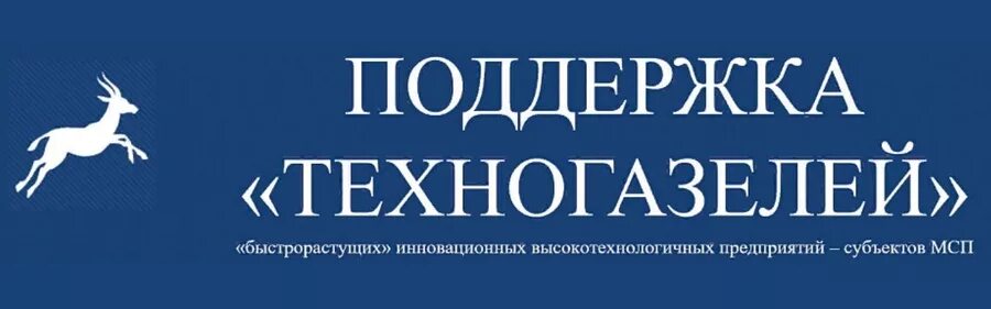 Поддержка предприятий мсп. Поддержка инновационных субъектов мсп. программа поддержки газелей. поддержка газелей мсп. корпорация мсп газели.