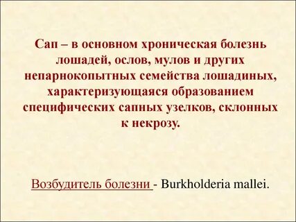 Болезнь сапой