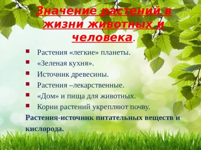 Выберите значение растений в природе. Растения и человек. Растения в жизни человека. Роль растений в природе. Значение растений для человека.