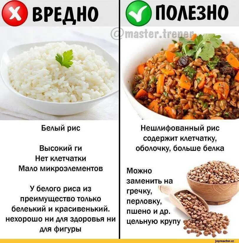 Сколько белков содержится в рисе
