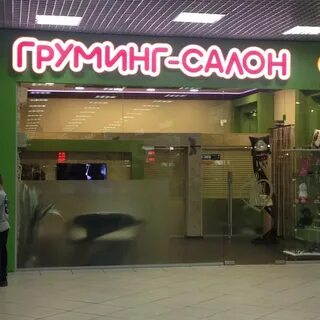 Магазин любимчик орск